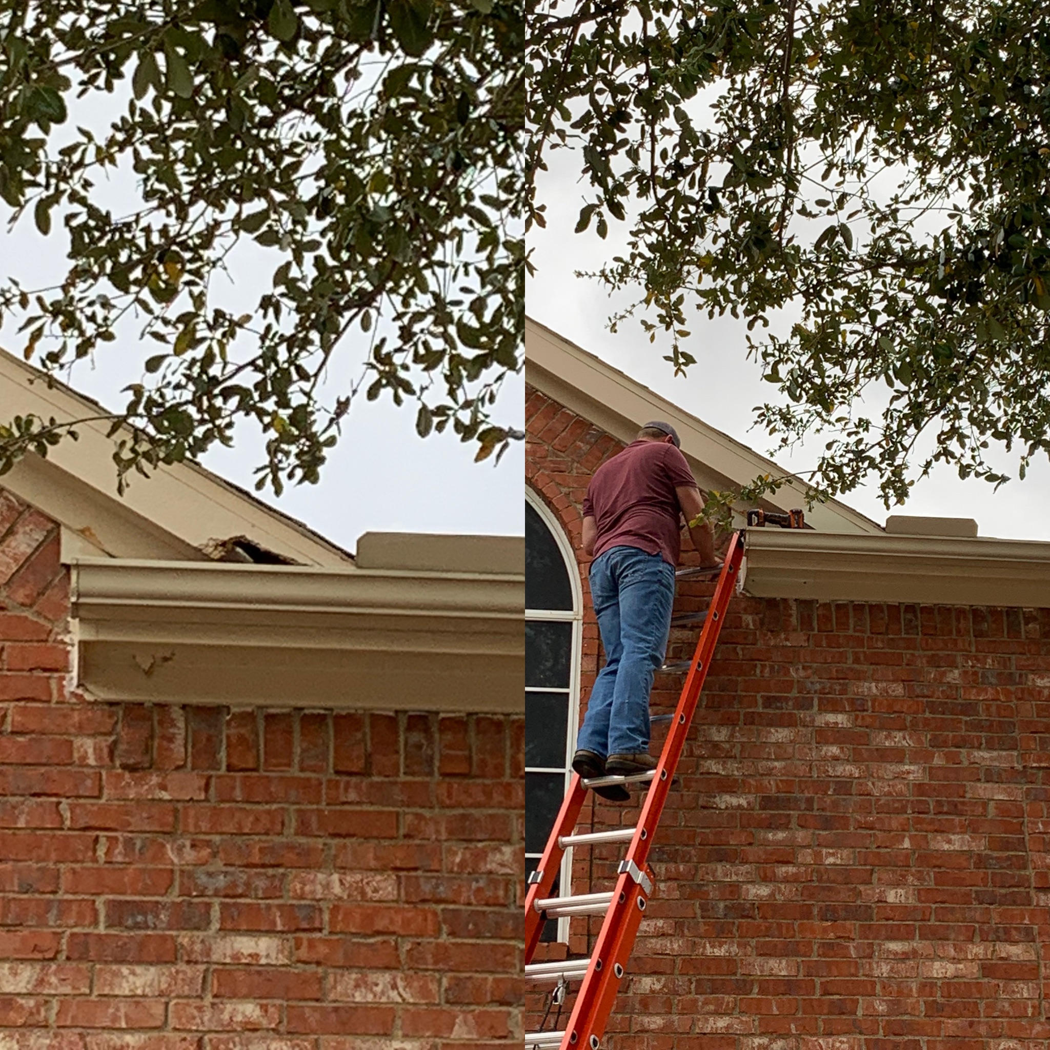 Before and after of Preferred Pest Management technician sealing squirrel damage on home exterior during rodent exclusion service