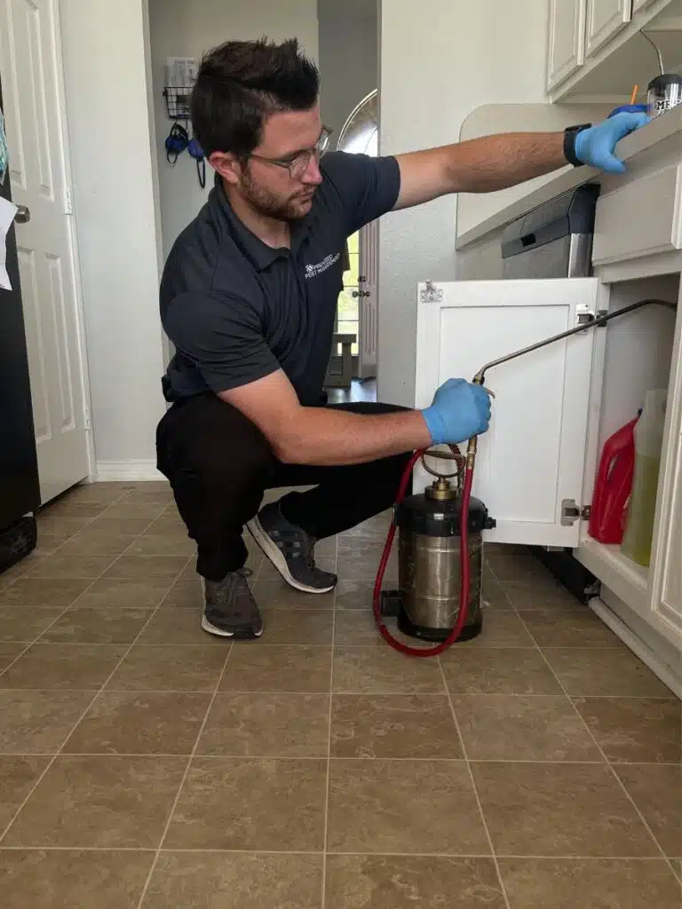 pest control technician providing a cockroach pest control treatment