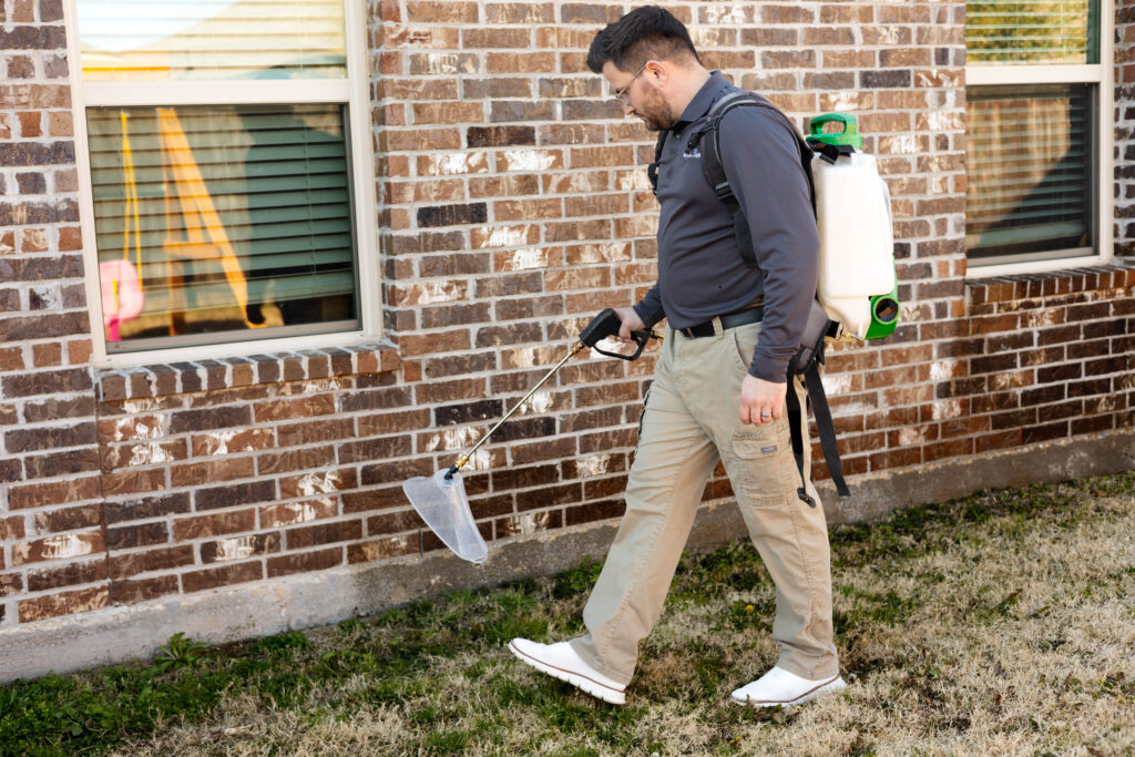 How much does pest control cost