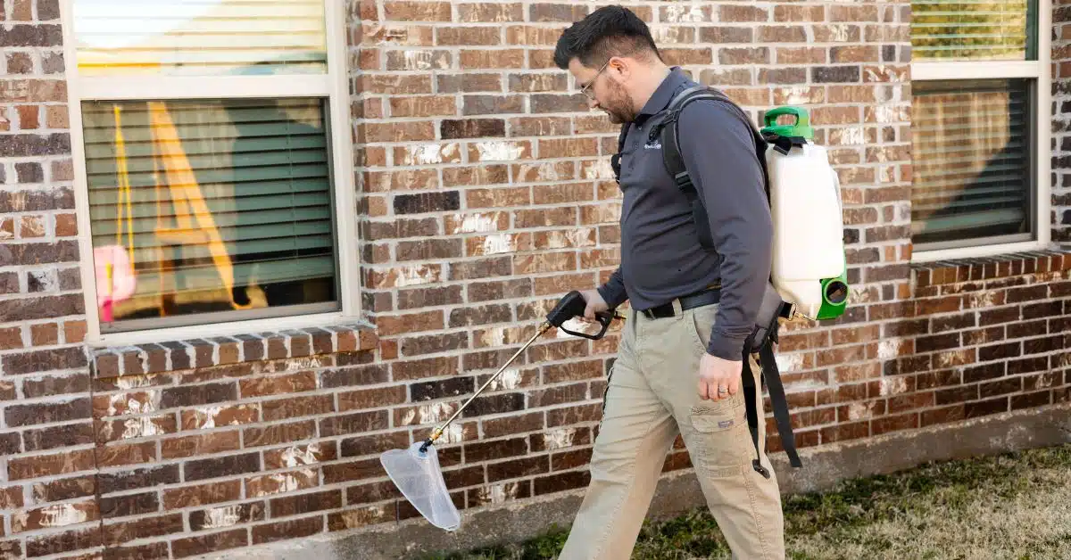 pest control technician performing a pest control service in sachse, tx